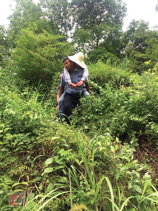 地质勘探人员野外作业被蜂蜇伤昏迷 众人紧急救援 伤者脱离危险 - 憨鼠网