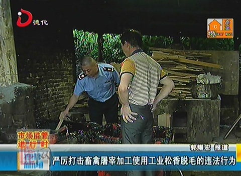 严厉打击畜禽屠宰加工使用工业松香脱毛的违法行为[视] - 憨鼠网