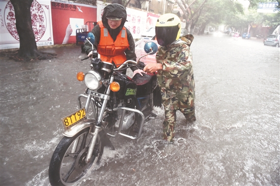 双台风挟雨而来 多举措防范灾害 - 憨鼠网