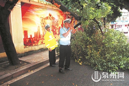 大树折断堵路 民警及时清除 - 憨鼠网