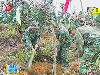 德化县荣获省级双拥模范县称号[视] - 憨鼠网