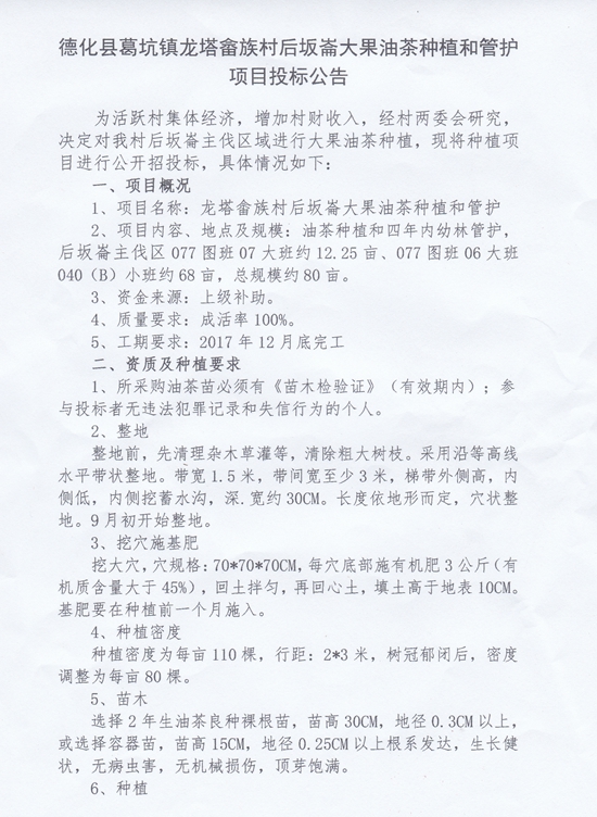龙塔畲族村后坂崙大果茶油种植和管护项目招标公告 - 憨鼠网