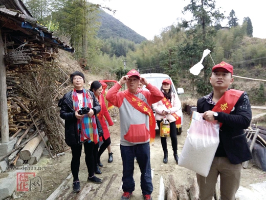 曾锦毅：戴云山下志愿花香 - 憨鼠网