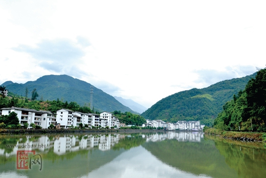 林权两换 林农“绿山”换“金山” - 憨鼠网