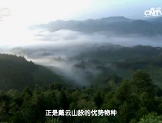央视《地理中国》揭秘德化戴云山“奇土之谜” - 憨鼠网