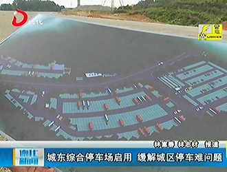 城东综合停车场启用 缓解城区停车难问题[视] - 憨鼠网