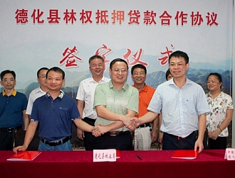 德化县林权收储中心成立揭牌 - 憨鼠网