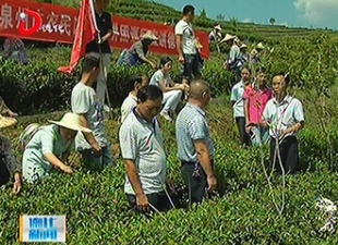 市农民讲师团：田间地头 传经送宝[视] - 憨鼠网