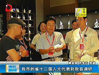 我市的省十二届人大代表到德化县调研[视] - 憨鼠网
