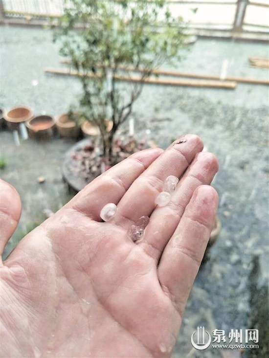 对流天气频发 德化也下冰雹 - 憨鼠网
