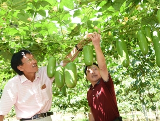 德化富地村：村民巧种水果 酿造“茹蜜”生活 - 憨鼠网