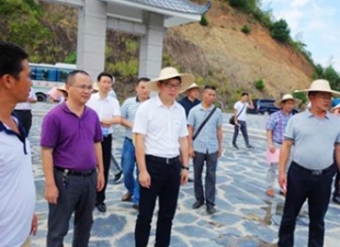 县委常委林祖传带队到葛坑镇参观考察 - 憨鼠网
