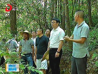 德化县向党外代表人士通报工作情况并组织参观考察[视] - 憨鼠网