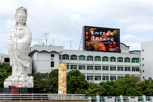 大力弘扬塞罕坝精神 建设绿色生态新瓷都 - 憨鼠网