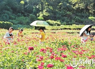 生态美景迎客来 - 憨鼠网
