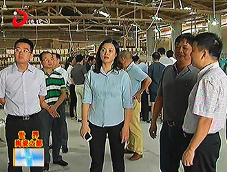 德化县召开陶瓷龙头企业座谈会[视] - 憨鼠网