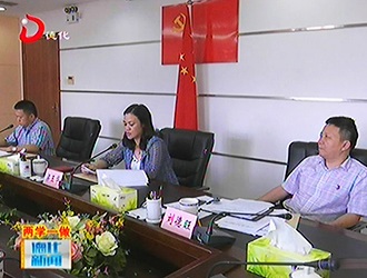 县委召开“两学一做” 学习教育常态化制度化第二专题学习讨论会[视] - 憨鼠网