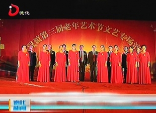 龙浔镇：老年人文艺演出 喜迎十九大[视] - 憨鼠网