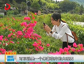 南埕农业休闲观光园：百果飘香 扮靓观光园[视] - 憨鼠网