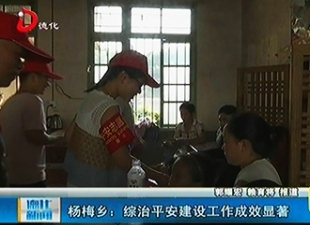 杨梅乡：综治平安建设工作成效显著[视] - 憨鼠网