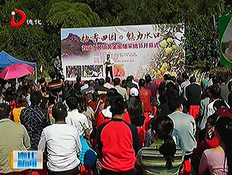 水口镇丘坂村：柚果飘香 采摘正当时[视] - 憨鼠网