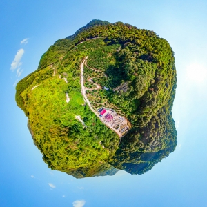 “岱仙”黄金蜜柚基地 - 憨鼠网
