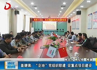 盖德镇：“企地”党组织联建 促重点项目建设[视] - 憨鼠网
