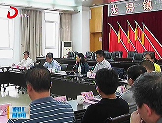 县委书记梁玉华到龙浔镇召开企业家座谈会[视] - 憨鼠网