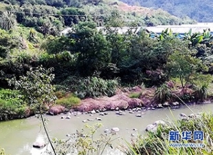 “河长制”带来的福利：上游的养猪场要搬迁了 - 憨鼠网