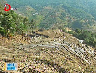上涌镇将完成县级土地开发540亩[视] - 憨鼠网