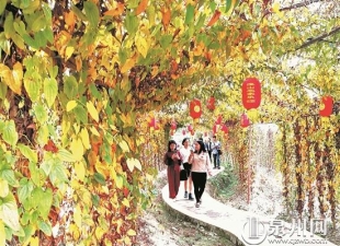 责任在肩，我们在一线过节 - 憨鼠网