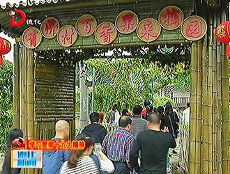 泉州市新闻界：进企业进乡村 宣传十九大 庆祝记者节[视] - 憨鼠网