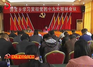 县领导张秋英到国宝乡宣讲十九大精神[视] - 憨鼠网