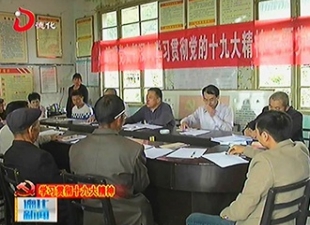 县领导苏惠生到桂阳乡宣讲党的十九大精神[视] - 憨鼠网