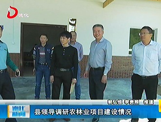 县领导调研农林业项目建设情况[视] - 憨鼠网