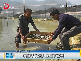 南埕镇蟠龙村：村民合作 养殖泥鳅[视] - 憨鼠网