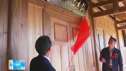 杨梅首届银杏文化旅游节启动 - 憨鼠网