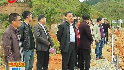 县人大常委会调研精准扶贫打赢脱贫攻坚战工作开展情况 - 憨鼠网