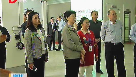 中华全国供销合作总社党组书记、理事会主任王侠到德化调研 - 憨鼠网