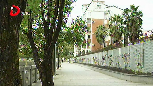 县市政局：提升改造人行道 美化城市环境 - 憨鼠网