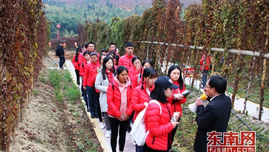 德化：精准扶贫 小小淮山带动万名农民增收 - 憨鼠网