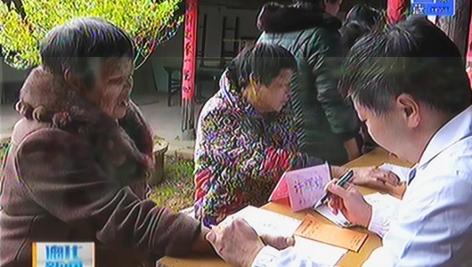 支部结对共建 携手共同发展 - 憨鼠网
