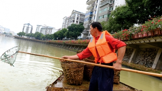 荡漾在水面的保洁员 - 憨鼠网