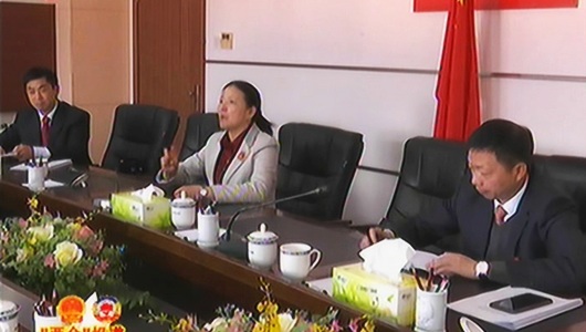县政协委员分组讨论政府工作报告 - 憨鼠网
