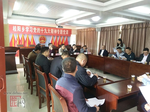 桂阳乡认真学习宣传贯彻党的十九大精神 - 憨鼠网