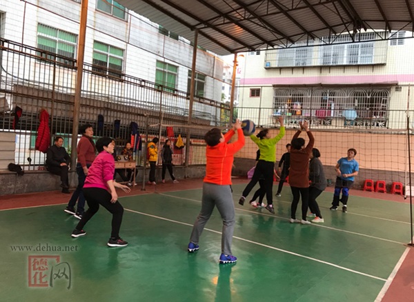 德化县老年人气排球俱乐部举行庆元旦活动 - 憨鼠网