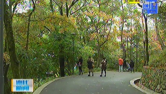 驾云亭公园：枫叶红了 - 憨鼠网
