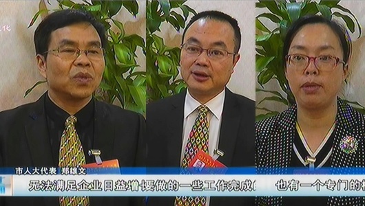 市人大代表：履职尽责献良策 凝心聚力谋发展 - 憨鼠网