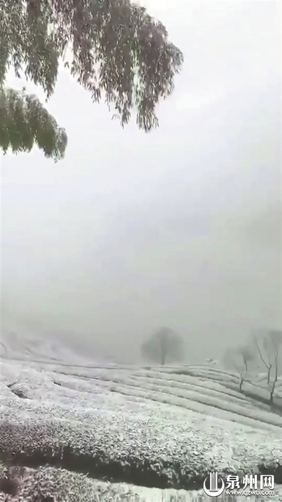 泉州多地飘雪下霰 明后两天晴冷为主 - 憨鼠网