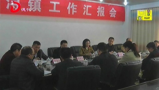 县委书记梁玉华听取龙浔镇2017年度落实全面从严治党主体责任工作情况汇报 - 憨鼠网